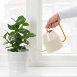 Watering can - Image 5