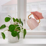 Watering can - Image 9
