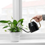 Watering can - Image 2
