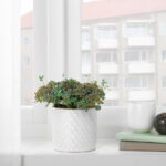 Plant pot - Image 2