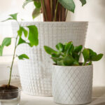 Plant pot - Image 3